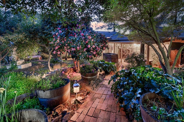 view of patio / terrace with a vegetable garden