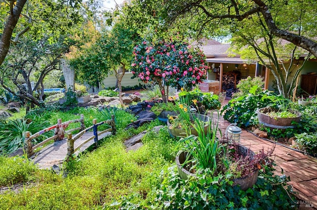 view of yard with a garden