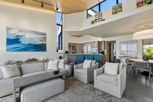 living area with rail lighting, a towering ceiling, and plenty of natural light