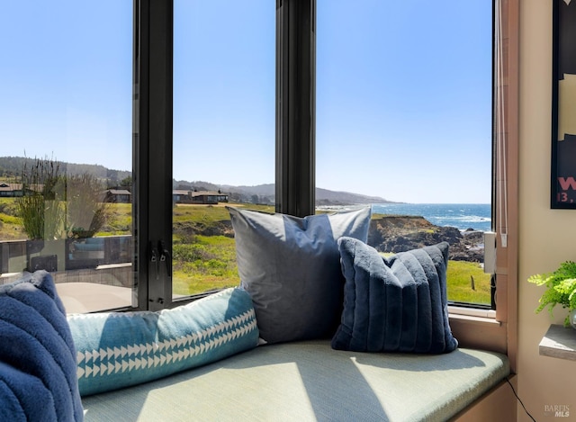 interior space featuring a wealth of natural light and french doors