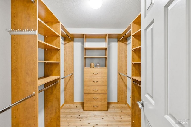 walk in closet with light wood-type flooring