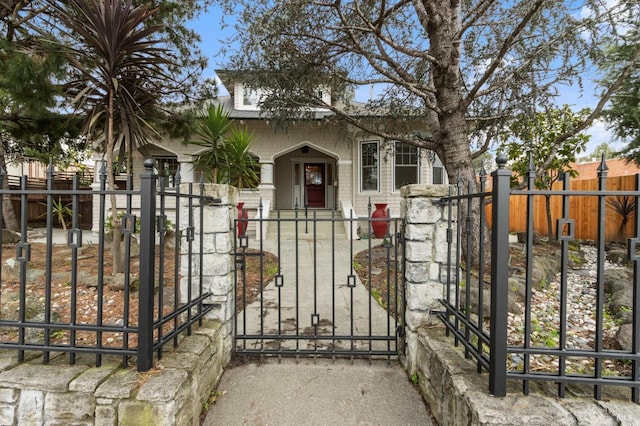 view of front of property with a gate and a fenced front yard