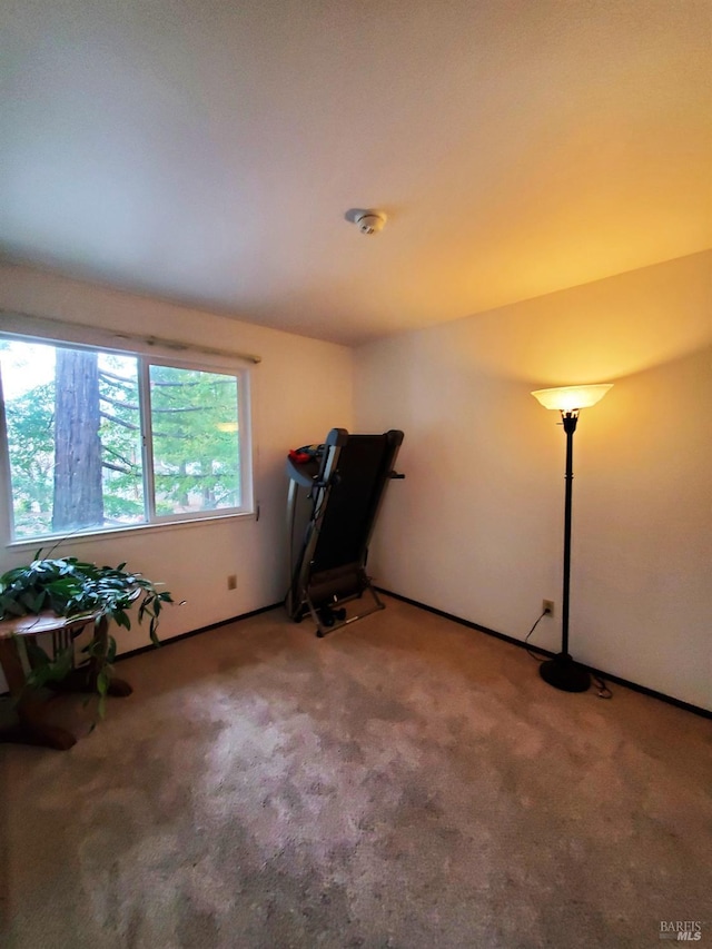 miscellaneous room featuring carpet floors