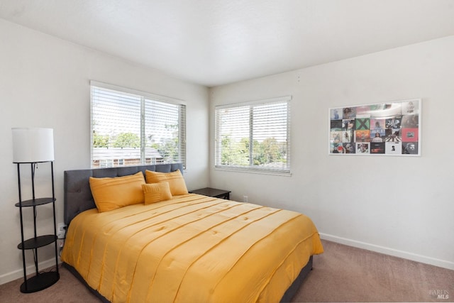 bedroom with baseboards and carpet floors