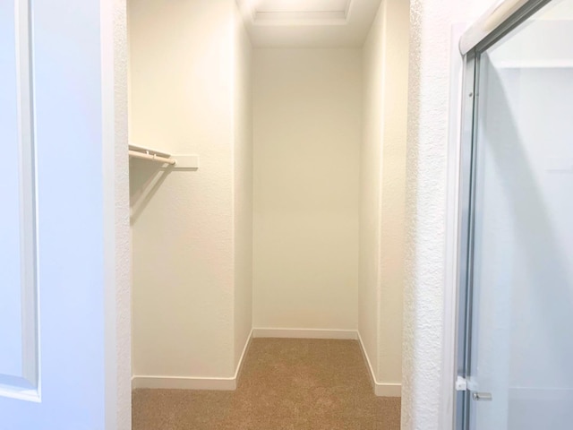 spacious closet with carpet flooring