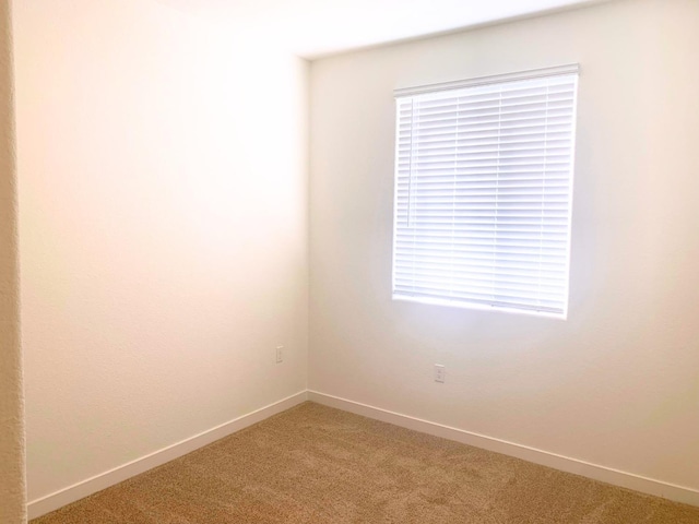 empty room featuring baseboards and light carpet