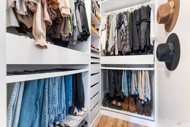 view of closet