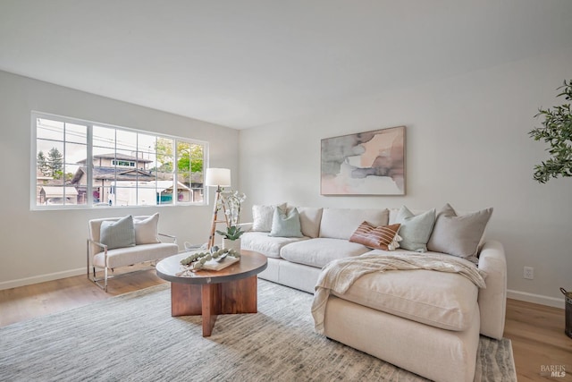 living area featuring baseboards and wood finished floors