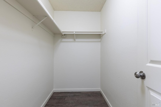 walk in closet with dark wood-type flooring