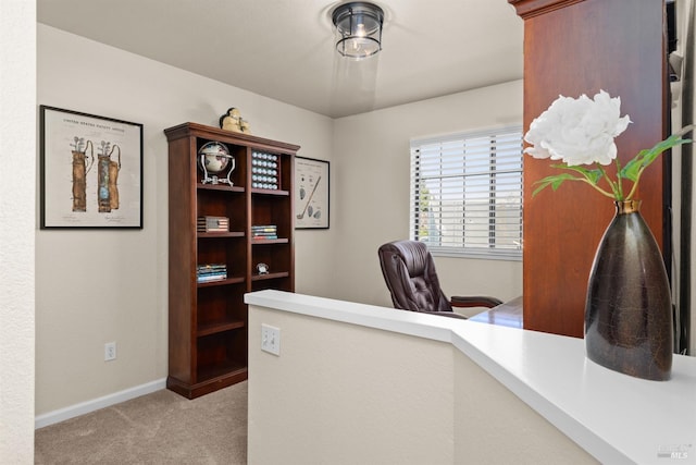 office featuring baseboards and light carpet