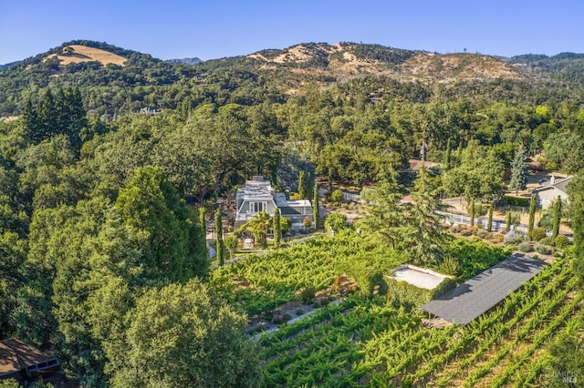 bird's eye view featuring a mountain view and a view of trees