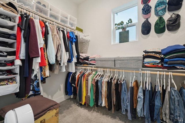 walk in closet with carpet flooring