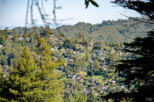 55 Mono Way, Mill Valley, CA 94941