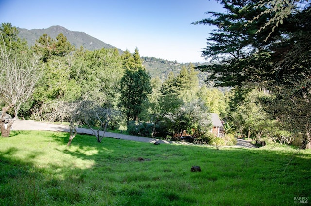 55 Mono Way, Mill Valley, CA 94941
