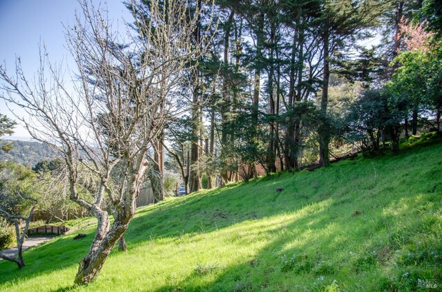55 Mono Way, Mill Valley, CA 94941