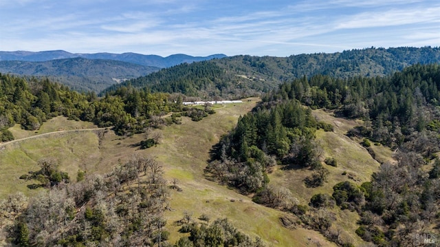 20401 Tomki, Redwood Valley CA, 95470 land for sale