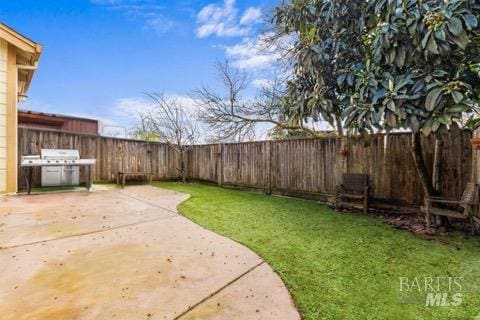 view of yard with a patio and a fenced backyard