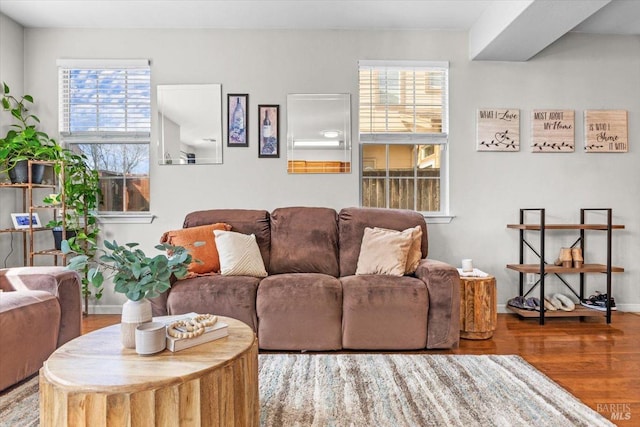 living room with wood finished floors