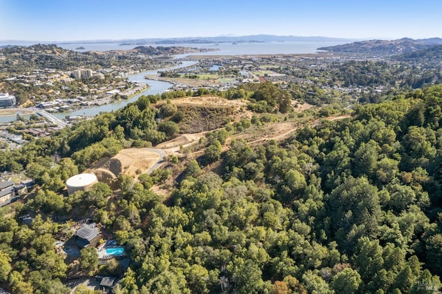 drone / aerial view with a view of trees and a water view