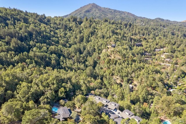 drone / aerial view featuring a mountain view and a wooded view