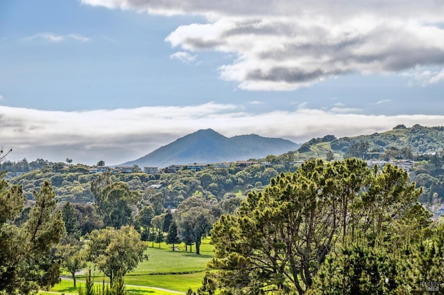 view of mountain feature