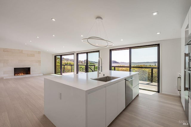 kitchen with dishwasher, plenty of natural light, modern cabinets, and a sink