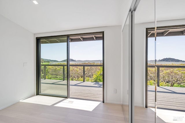 entryway featuring a mountain view, baseboards, and light wood finished floors