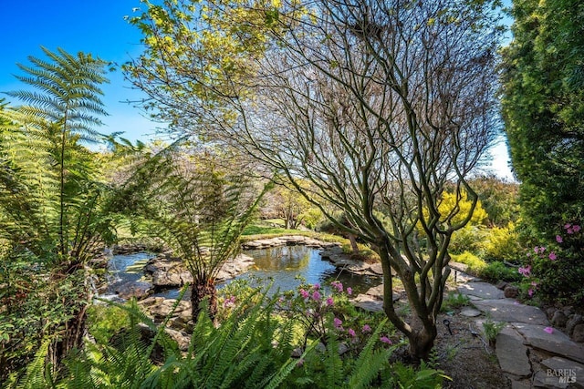 view of water feature