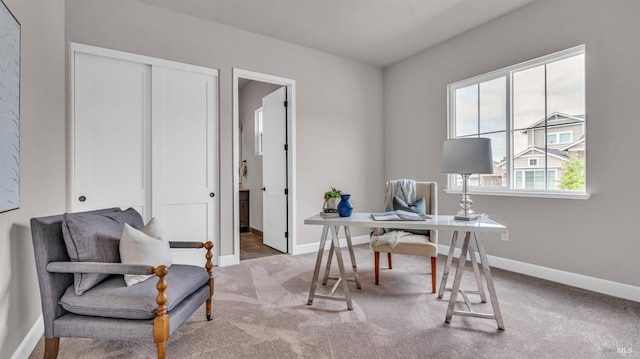 office with baseboards and carpet floors