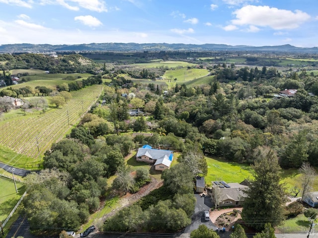 bird's eye view featuring a mountain view and a rural view