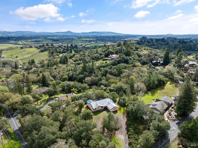 aerial view with a mountain view and a view of trees