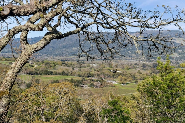 property view of mountains