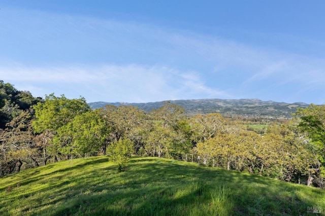 property view of mountains with a forest view