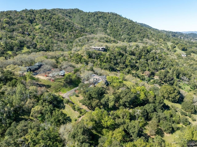 bird's eye view with a mountain view and a wooded view