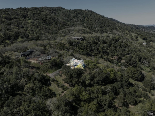 aerial view featuring a mountain view and a forest view