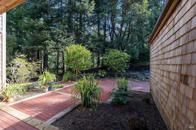 view of yard featuring a patio