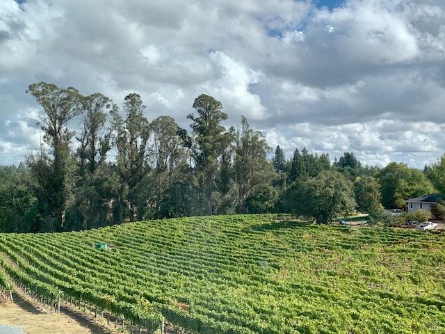 view of yard featuring a rural view