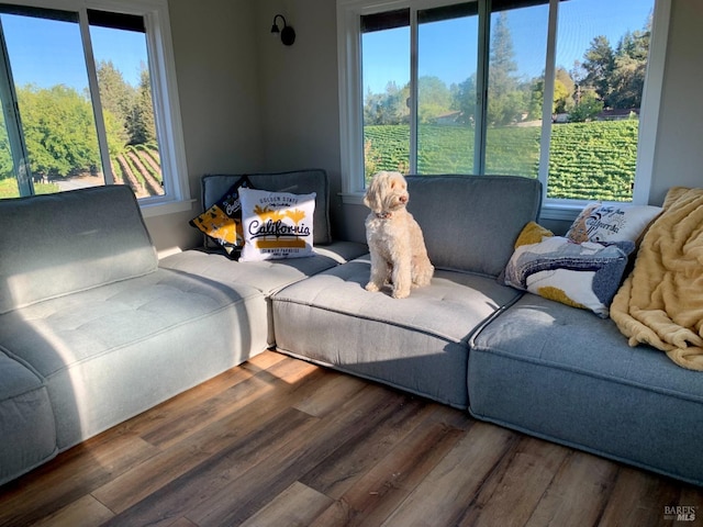 living area with wood finished floors