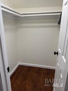 walk in closet featuring dark wood finished floors