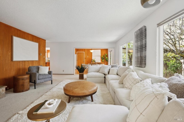 living area with wood walls, carpet floors, and a textured ceiling