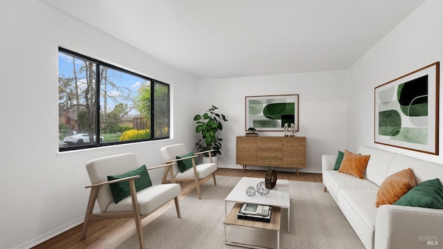 living area featuring baseboards and wood finished floors