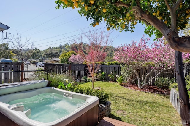 view of yard with a hot tub and a fenced backyard