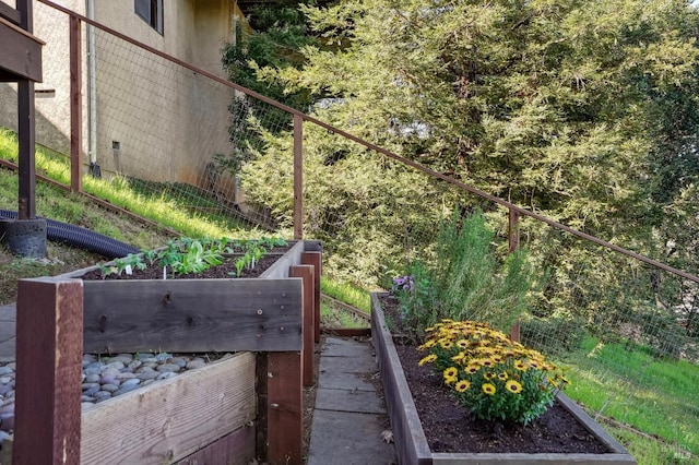 view of yard featuring a garden
