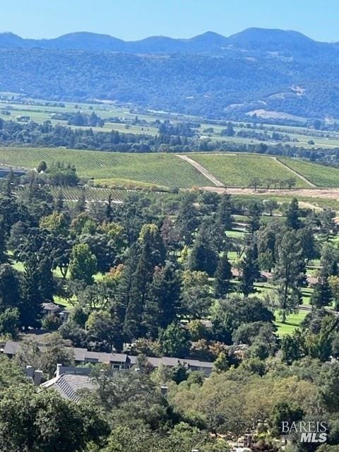 mountain view with a rural view