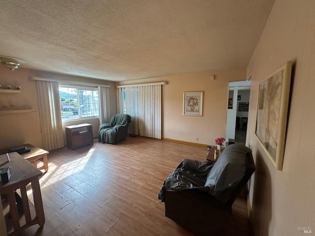 living room featuring wood finished floors and a textured ceiling