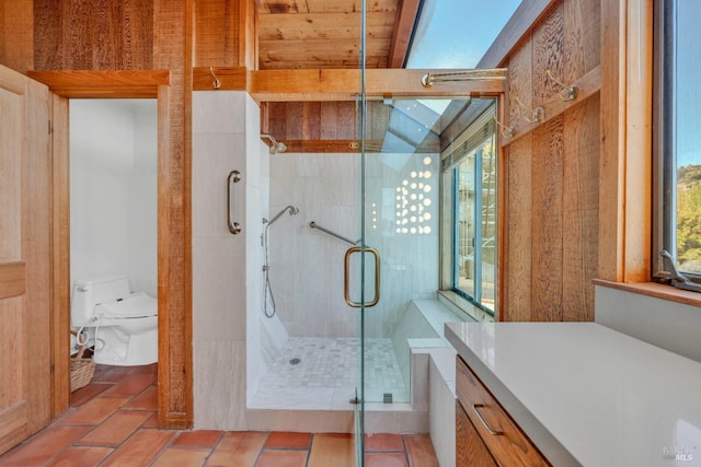 bathroom with toilet, a stall shower, and plenty of natural light