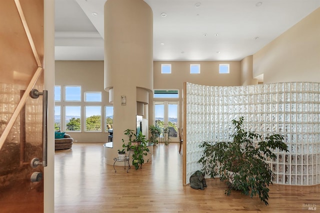 corridor featuring wood finished floors and a towering ceiling