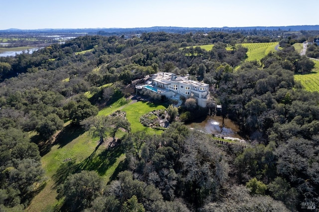 bird's eye view featuring a wooded view and a water view
