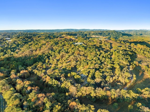 birds eye view of property featuring a forest view