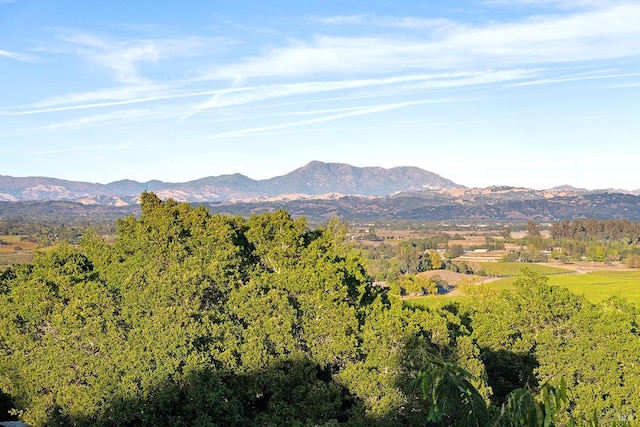 view of mountain feature